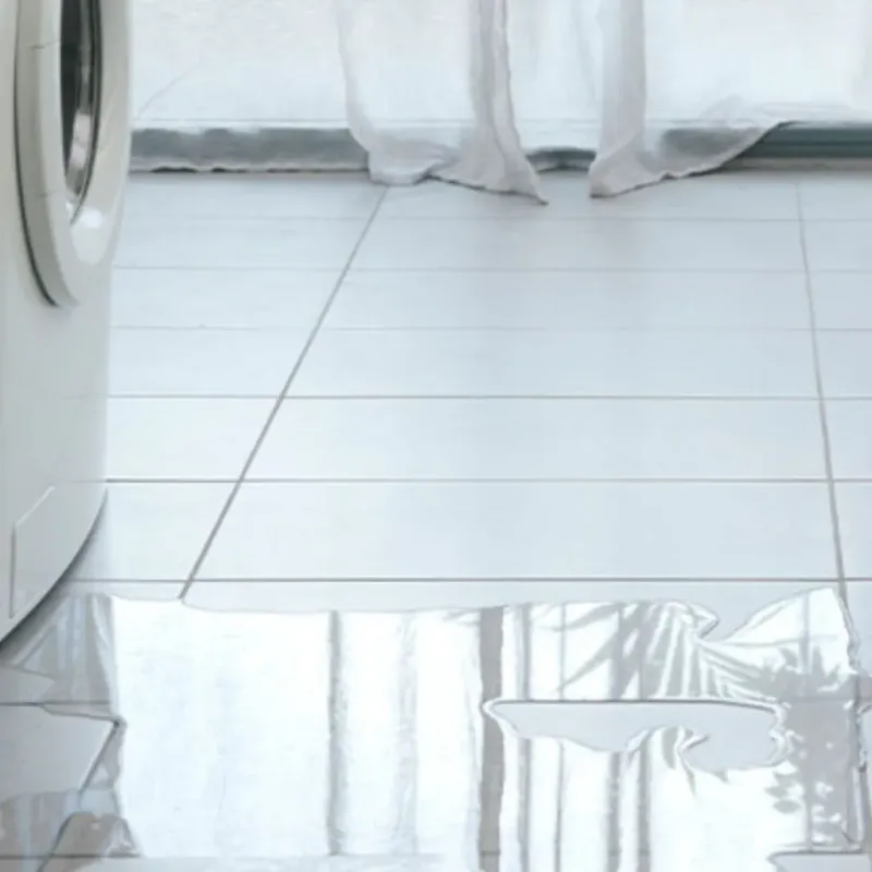 Appliance Leak Cleanup in King George County, VA