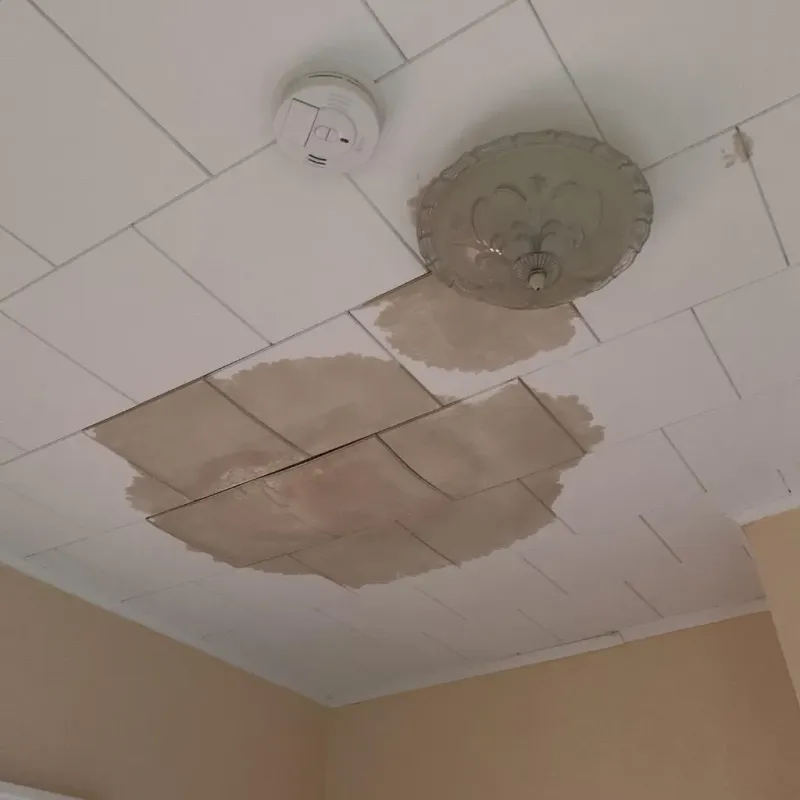 Ceiling Water Damage Repair in King George County, VA