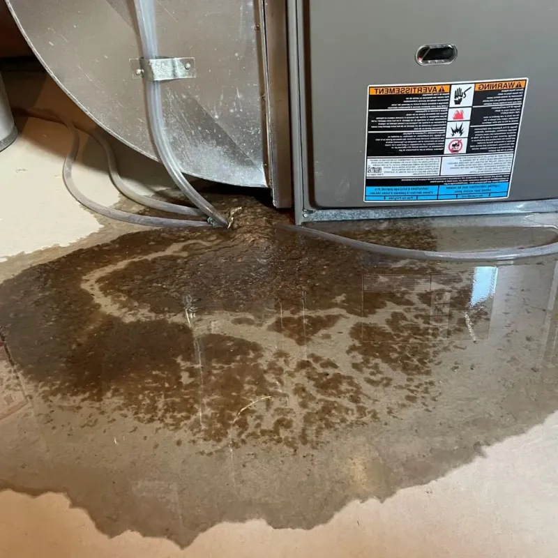 Pipe Burst and Leak Restoration in King George County, VA