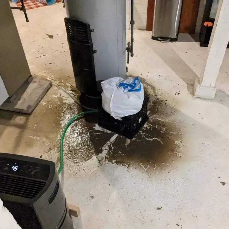 Sewage Backup Cleanup Service in King George County, VA